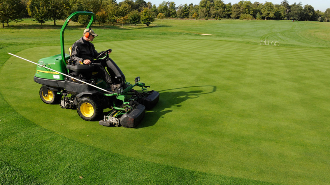 Mowing Primo Maxx treated greens