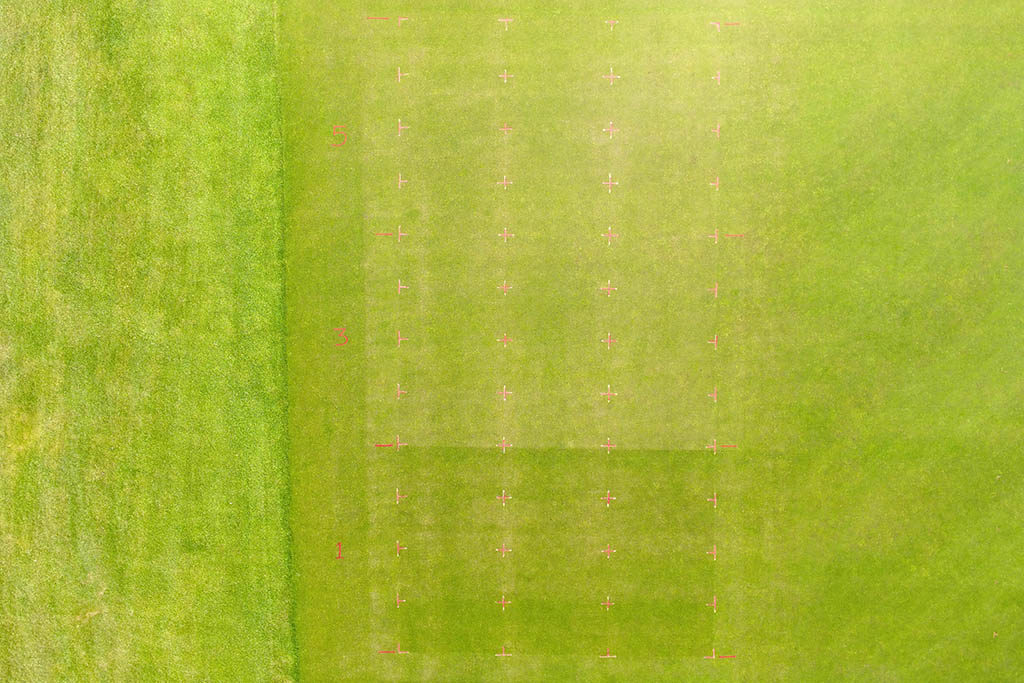 STRI trial aerial image of mowing intensity effects