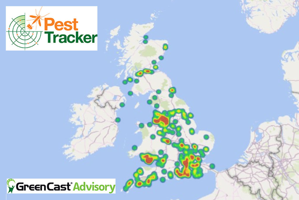 Crane fly emergence heat map from Pest Tracker sightings
