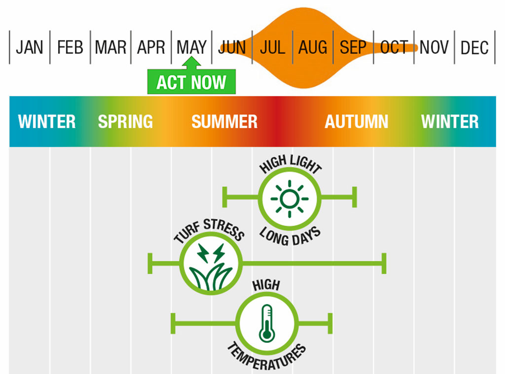 Timing to target anthracnose ITM actions