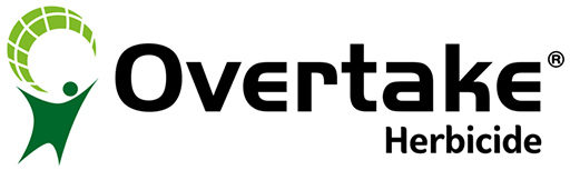 Overtake logo