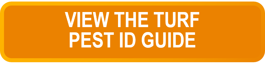 Pest ID guide web button