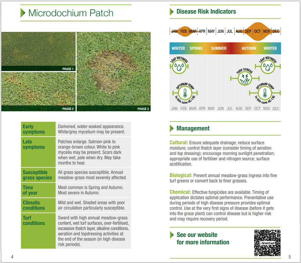 Turf Disease ID Guide microdochium page