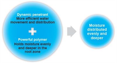Penetrant and polymer effect.jpg