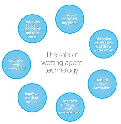 Role of wetting agents.jpg