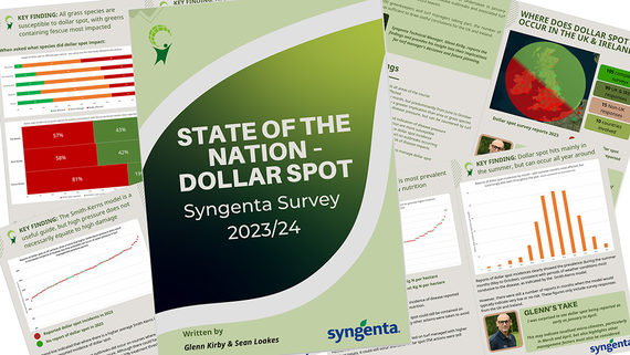 Dollar spot survey report